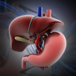 How to Keep Your Liver Healthy Naturally