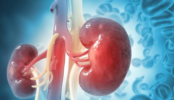 Kidney Health: 8 Simple Ways to Keep Your Kidneys Healthy
