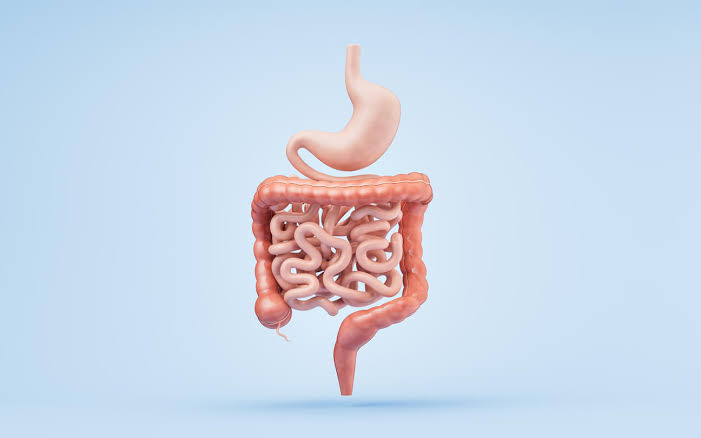 10 Simple Ways to Improve Your Digestive Health Naturally